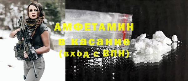 хмурый Арсеньев