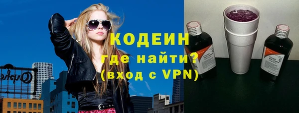 хмурый Арсеньев
