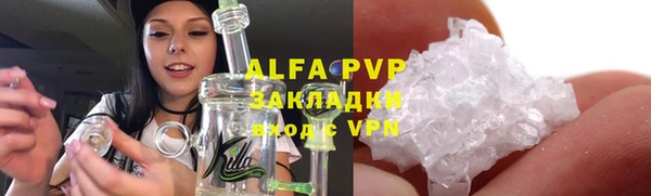 хмурый Арсеньев