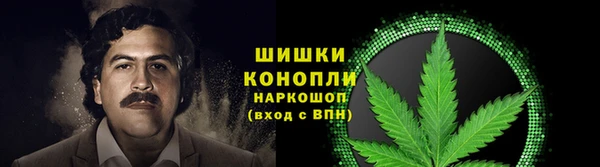 хмурый Арсеньев
