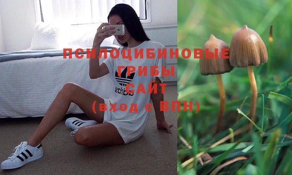 синтетический гашиш Армянск