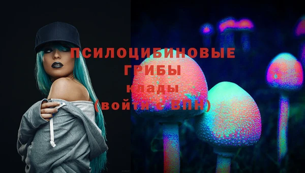 хмурый Арсеньев