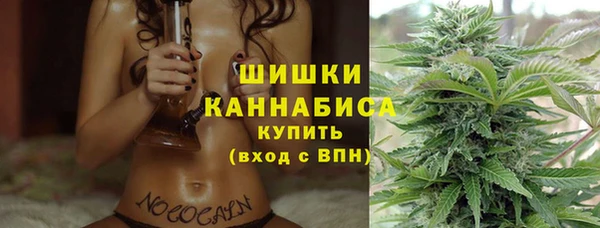 хмурый Арсеньев